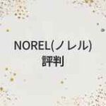 NOREL（ノレル）評判やメリット・デメリットをプロが評価！