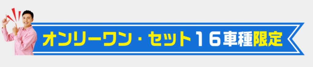 16車種限定